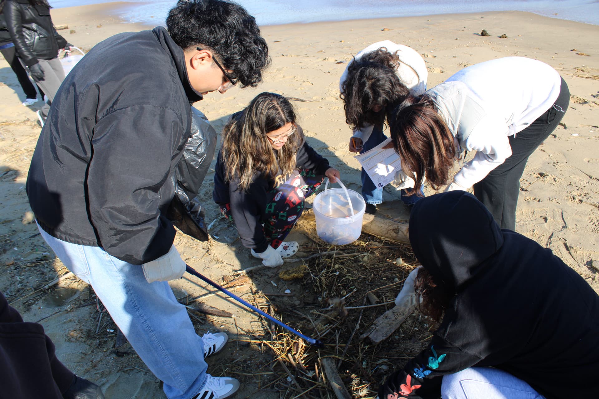 Members volunteering at a beach cleanup event